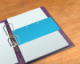 Intercalaires neutres Duo 240x105, en carte 160g/m², coloris bleu,image 2